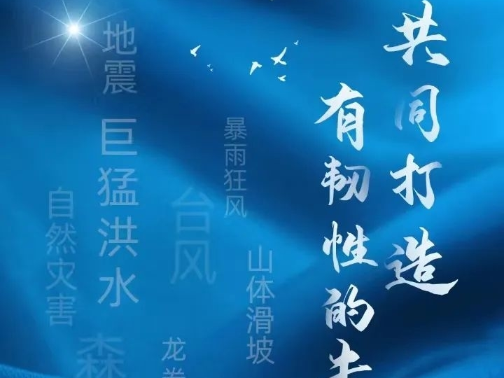 国际减灾日——共同打造有韧性的未来