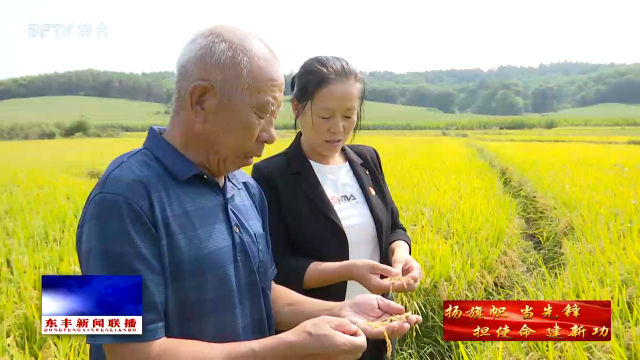 王吉凤：乡村振兴路上的“给力”女支部书记