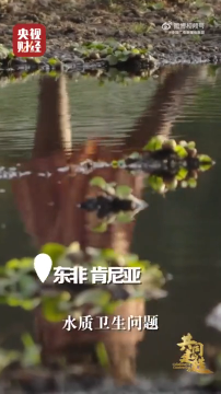 肯尼亚：从城市到原始部落，一条惠及超过三百万人的供水管线正在建设