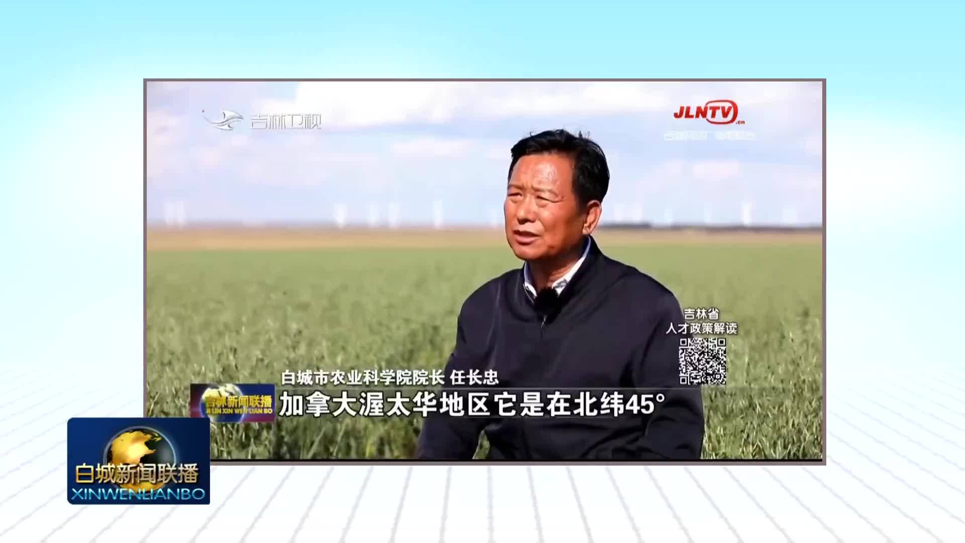 任长忠：扎根乡土 助力燕麦全产业发展