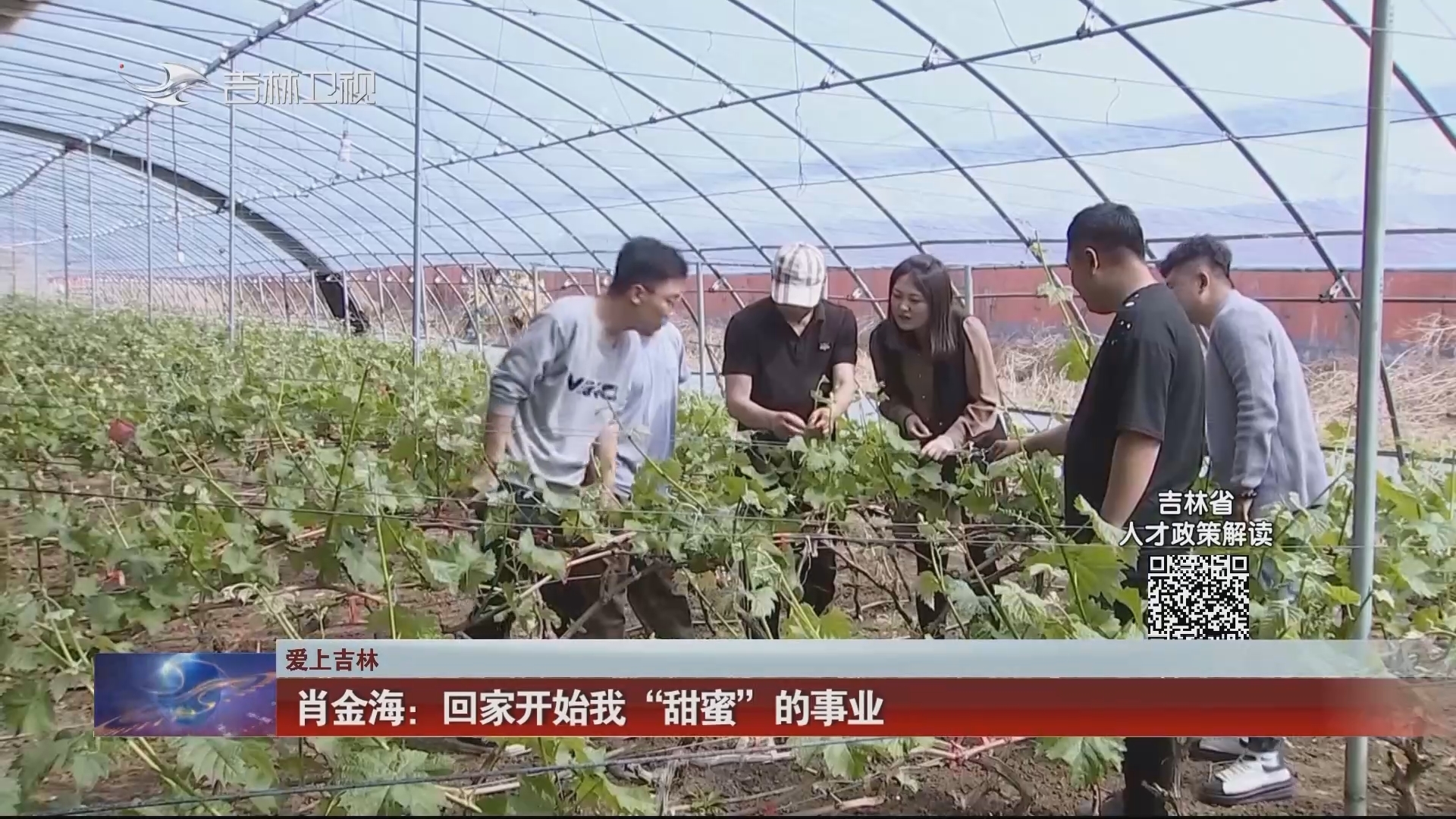 【爱上吉林】肖金海：回家开始我“甜蜜”的事业