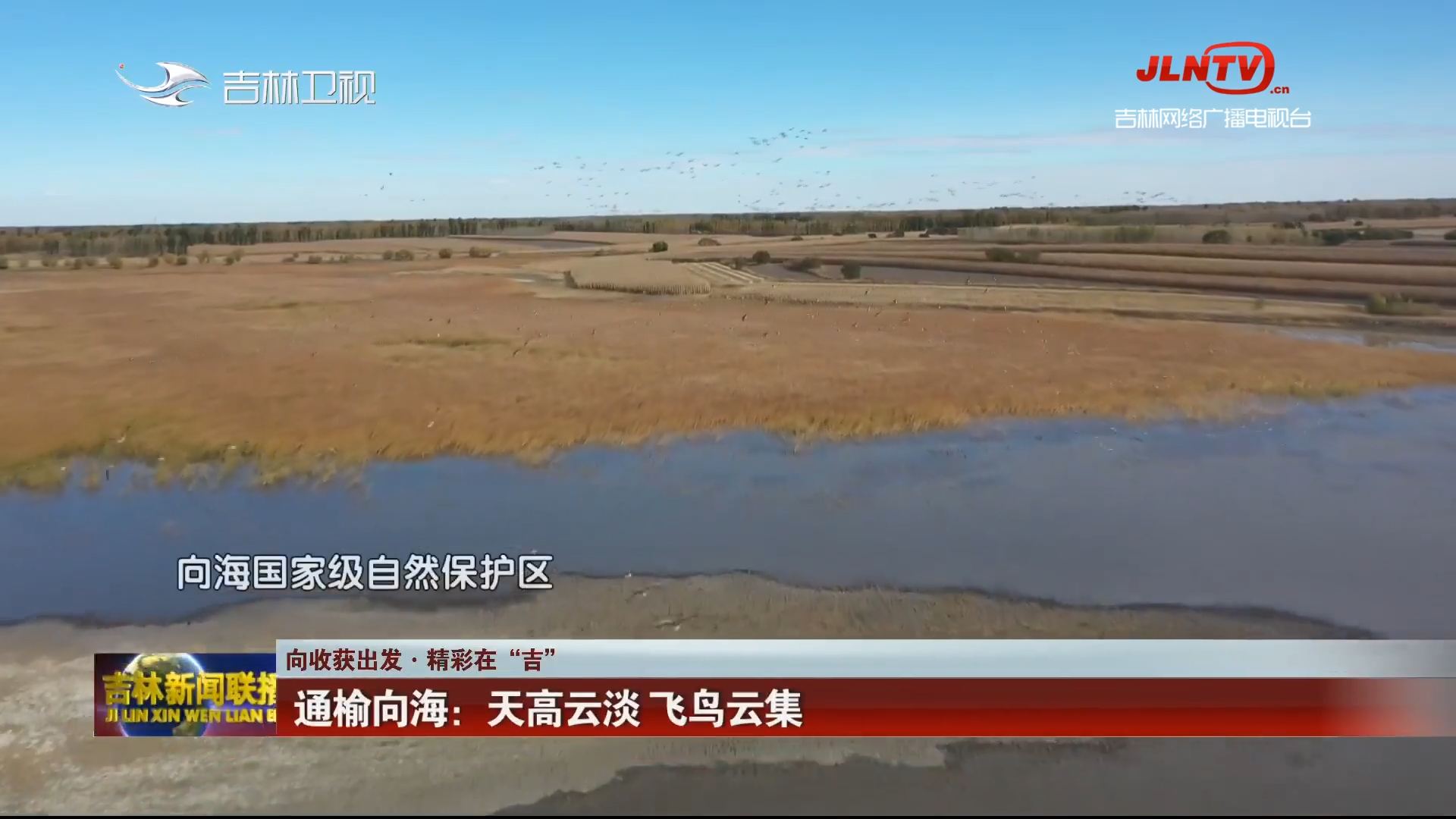 【向收获出发·精彩在“吉”】通榆向海：天高云淡 飞鸟云集