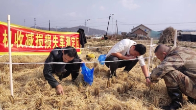 集安市花甸镇开展水稻机收减损技能大比武活动