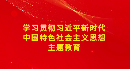 领悟总书记这些要求，抓好第二批主题教育