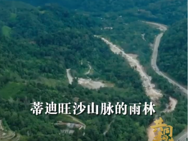 中国为马来西亚定制敞开式硬岩掘进机
