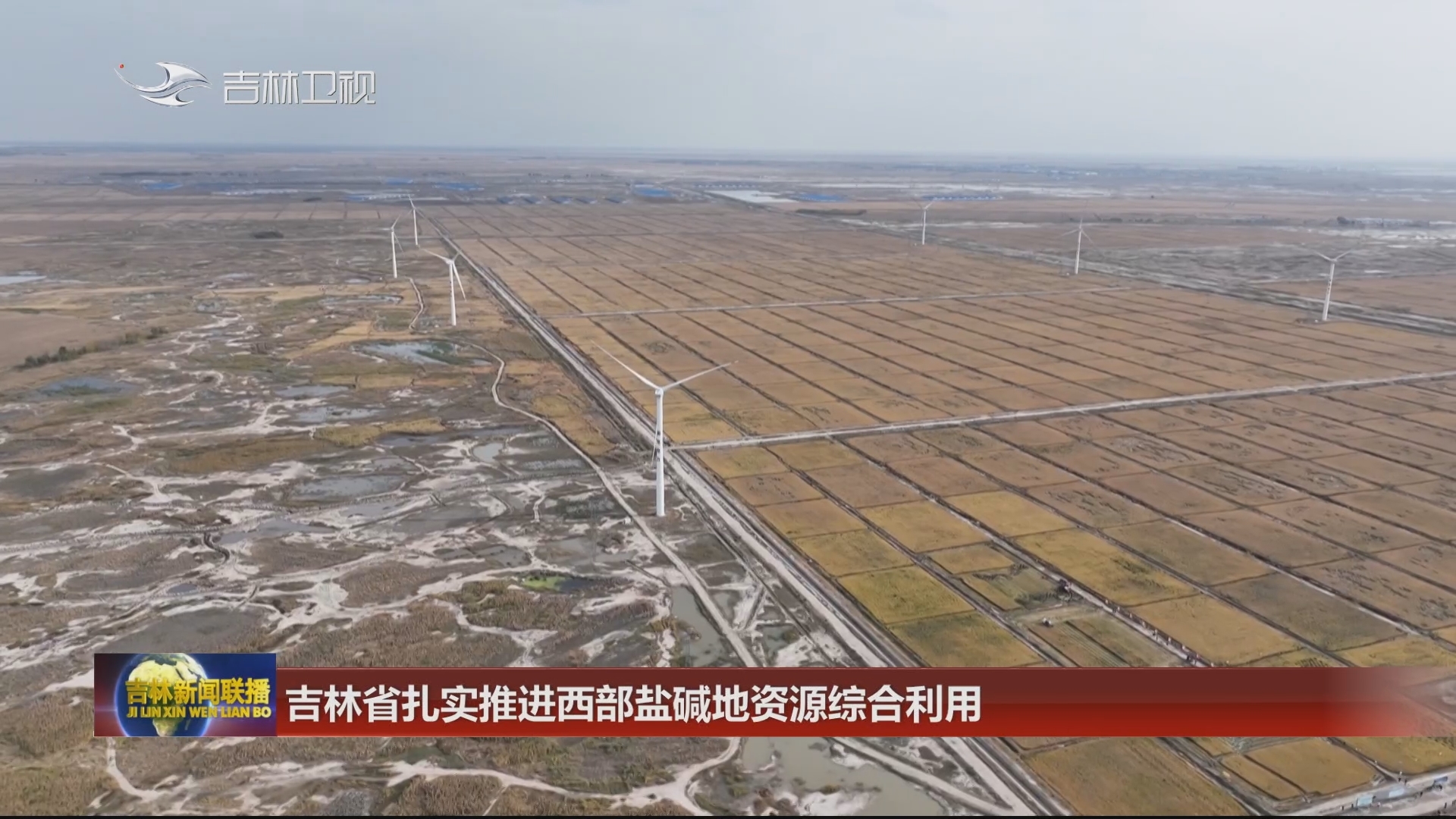 吉林省扎实推进西部盐碱地资源综合利用