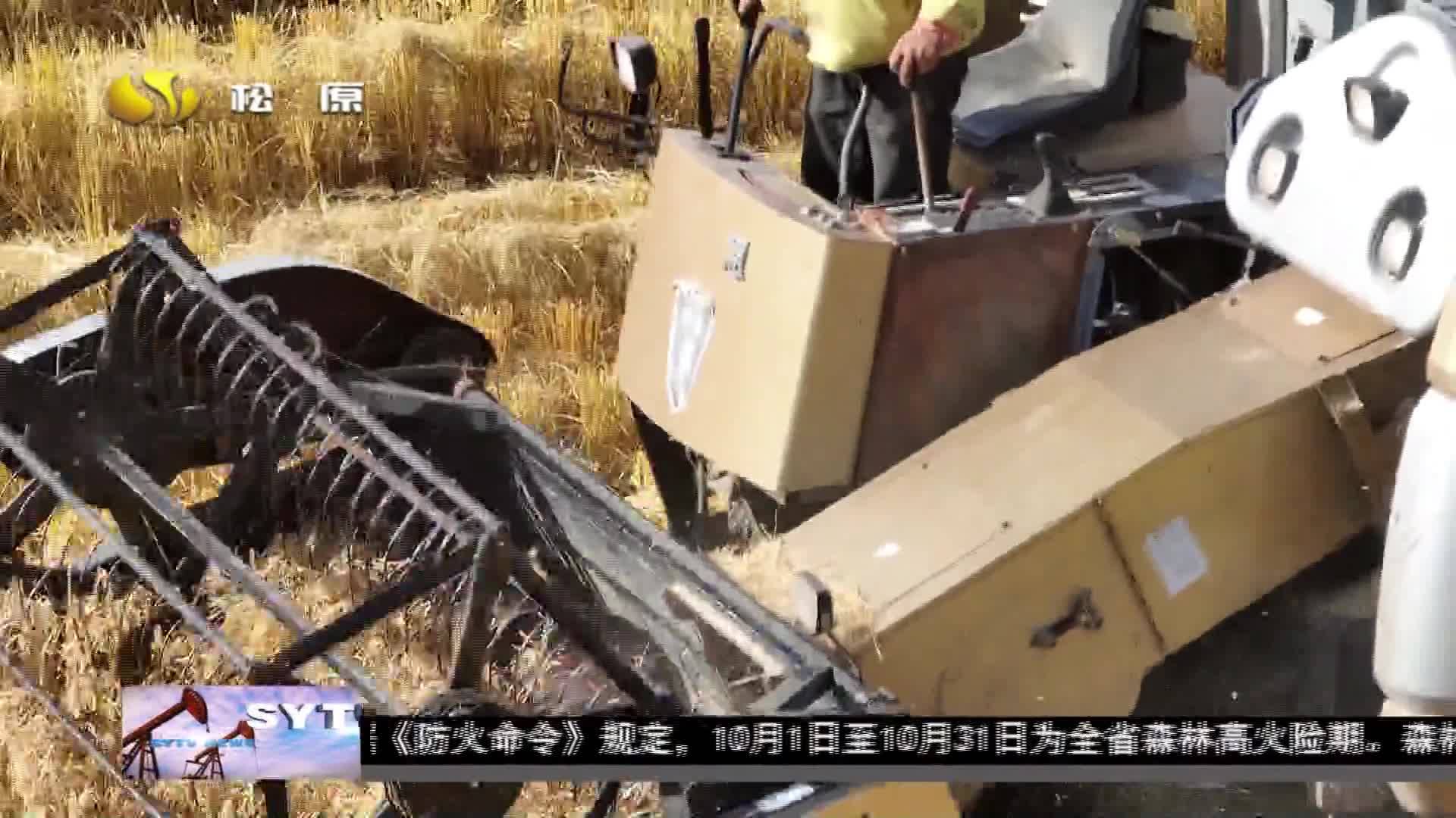乡村振兴进行时  前郭县：加快推进秋收作业 确保颗粒归仓