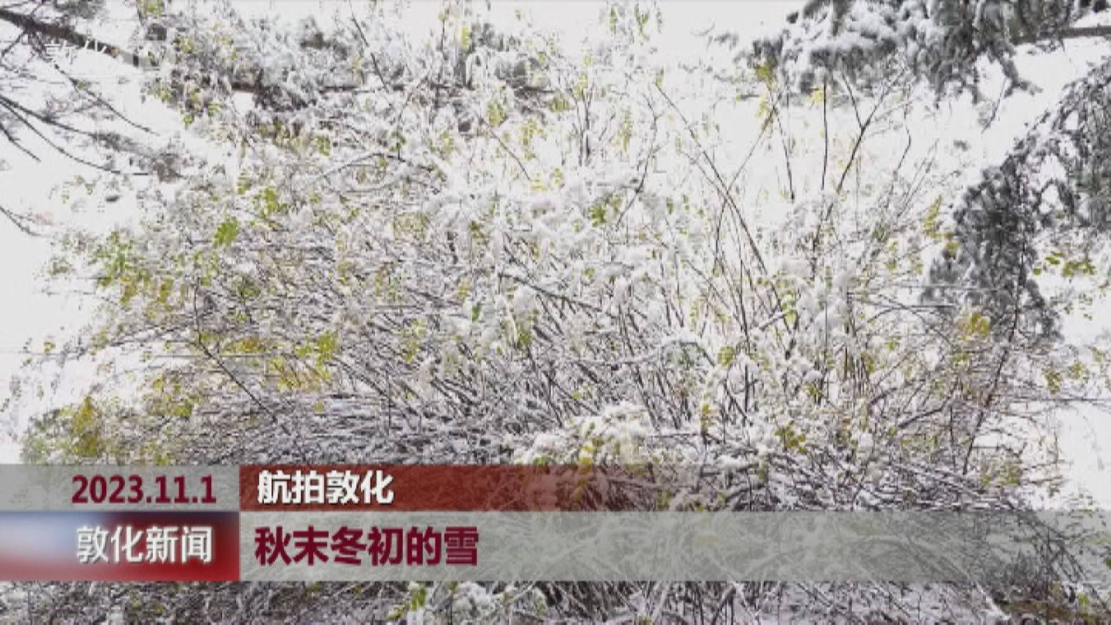 秋末冬初的雪