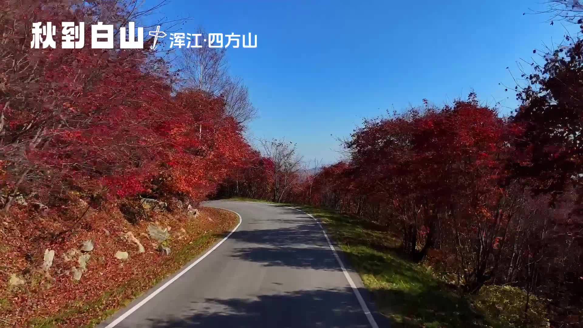 秋到白山丨浑江四方山