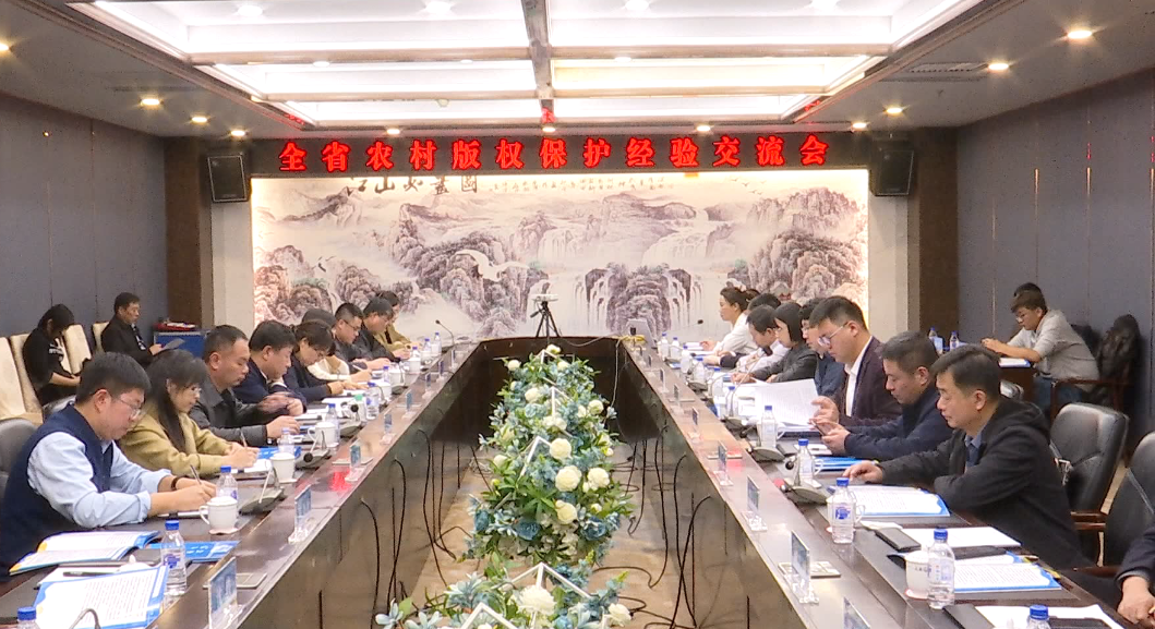 全省农村版权保护经验交流会在我市召开