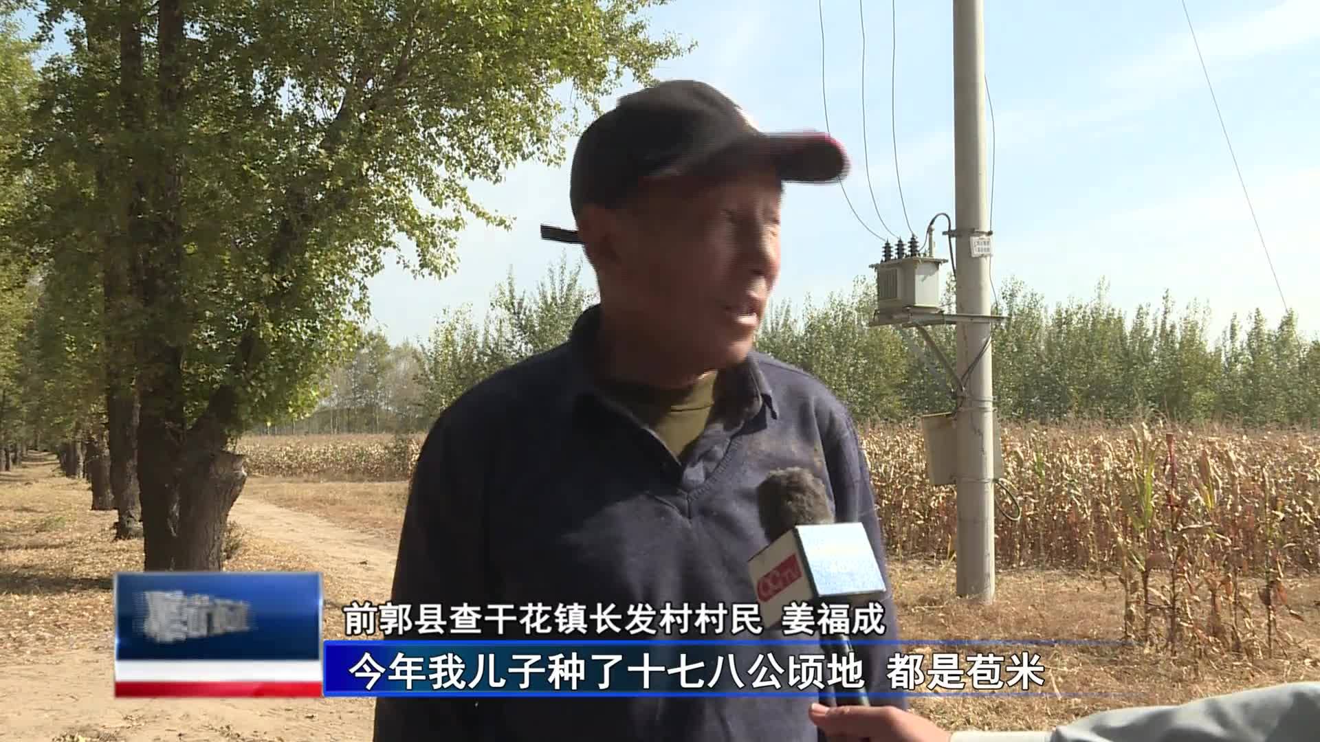 直通县市区2023年10月31日前郭    前郭县查干湖镇玉米喜获丰收VA0