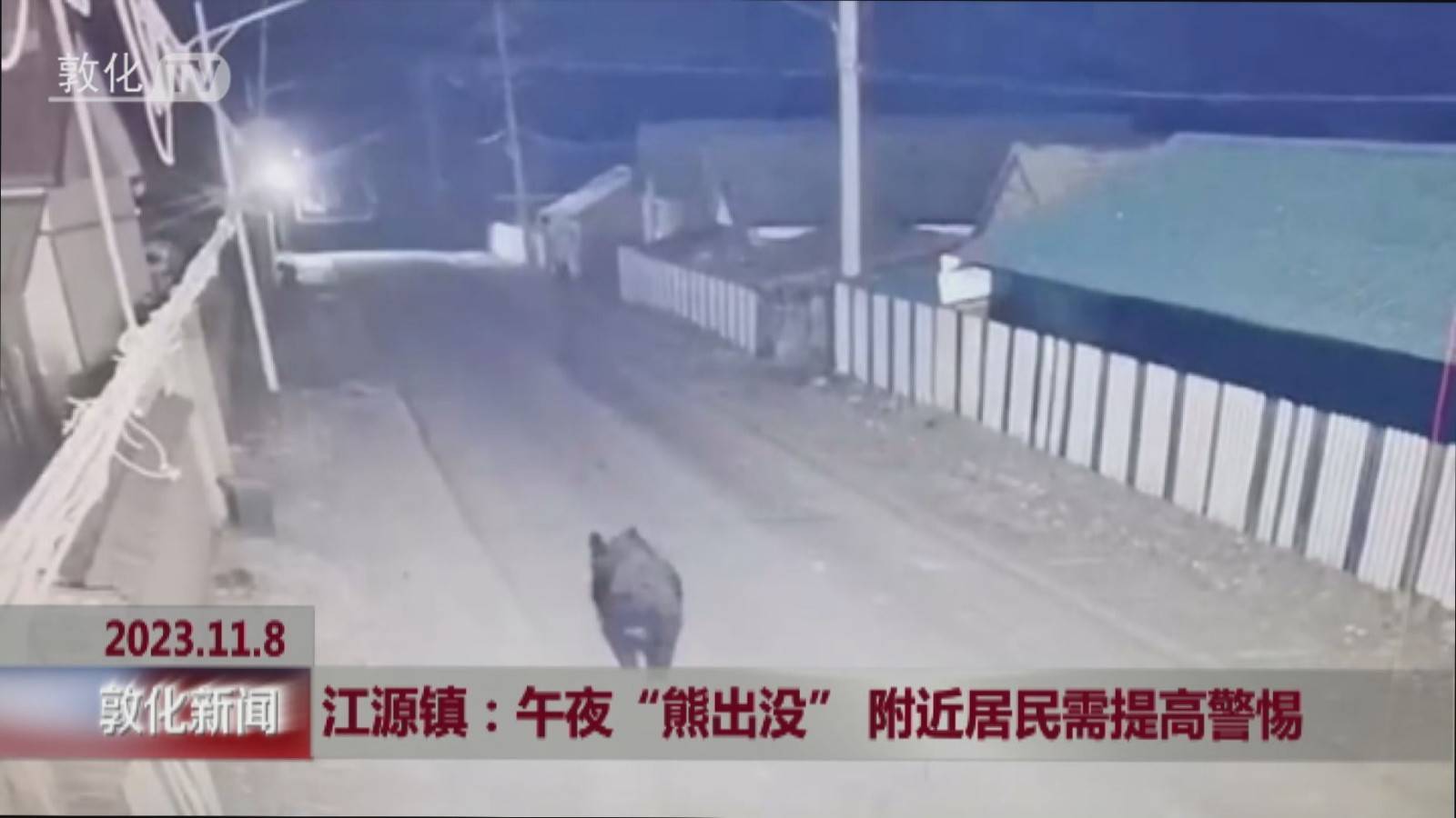 敦化市江源镇：午夜“熊出没”附近居民需提高警惕