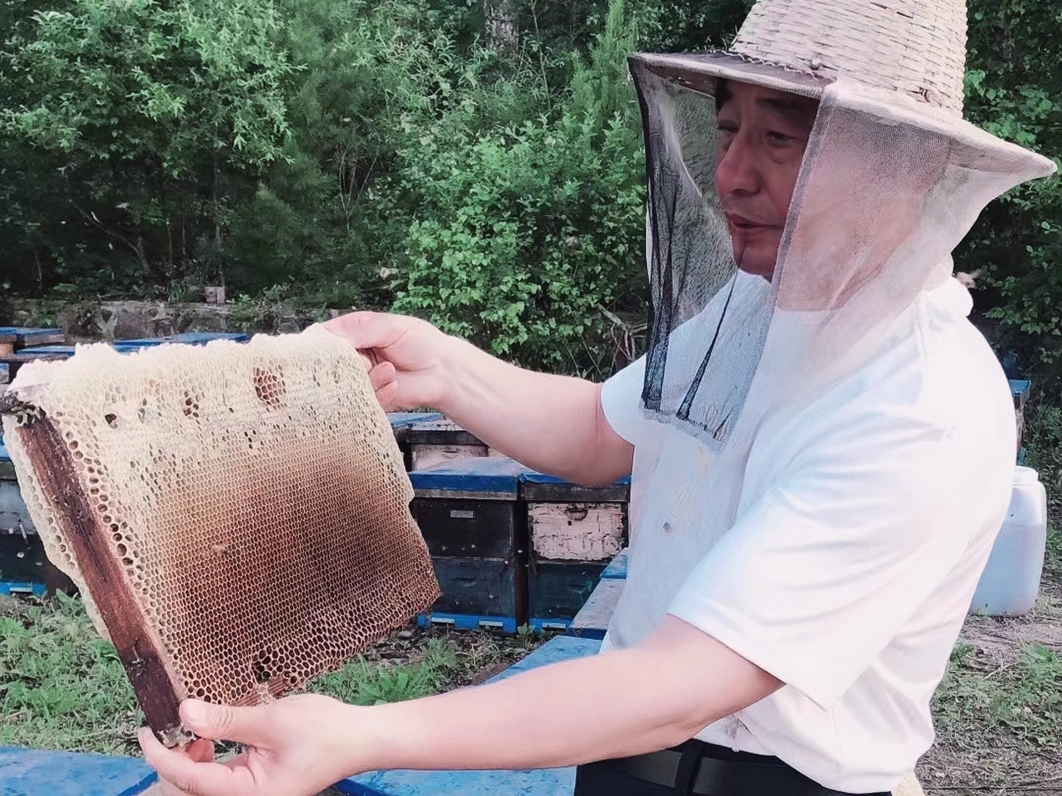 长白山税务局：特色农产丰收忙 政策助力雪蜜酿