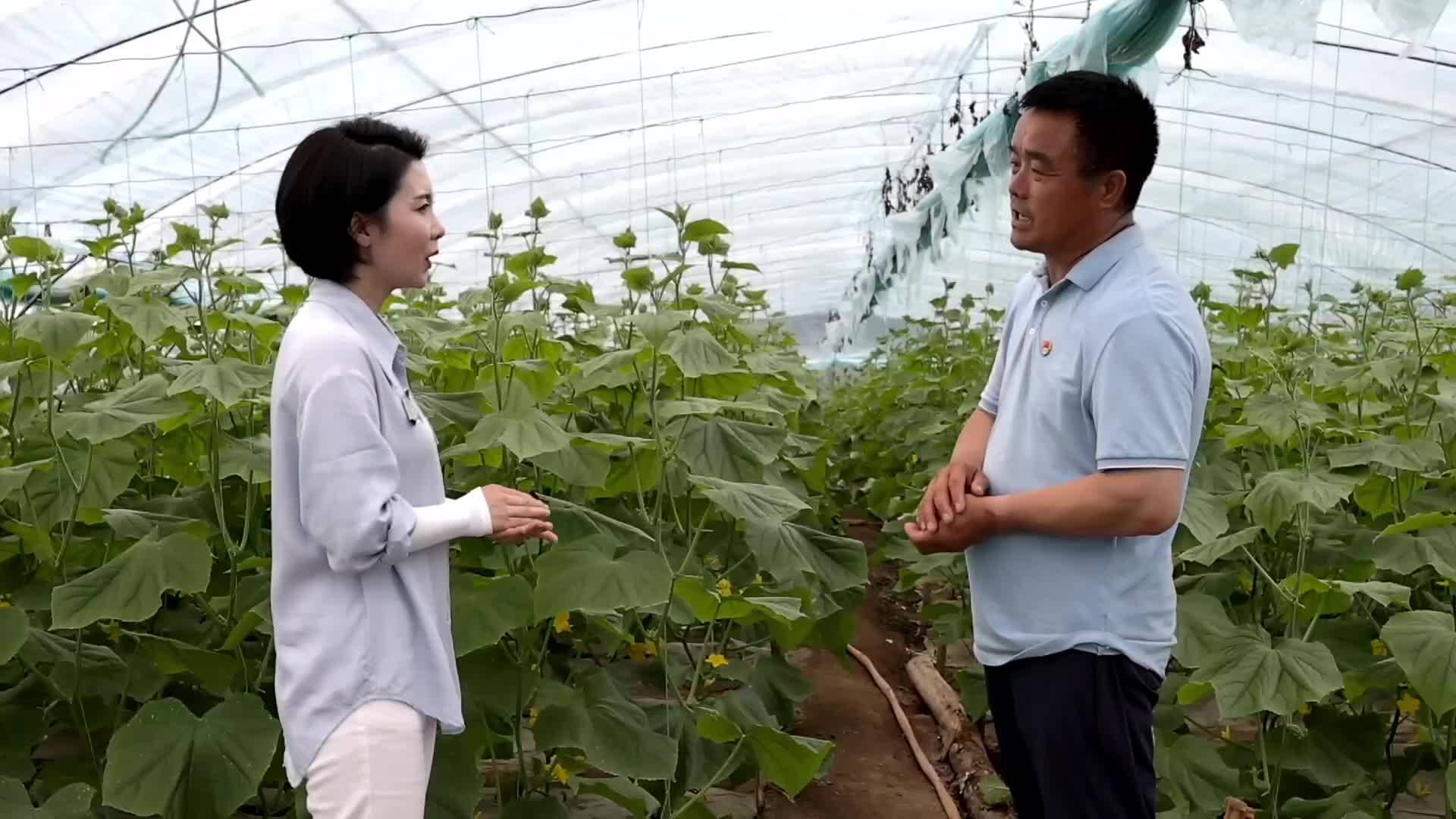 祝全市广大新闻工作者节日快乐