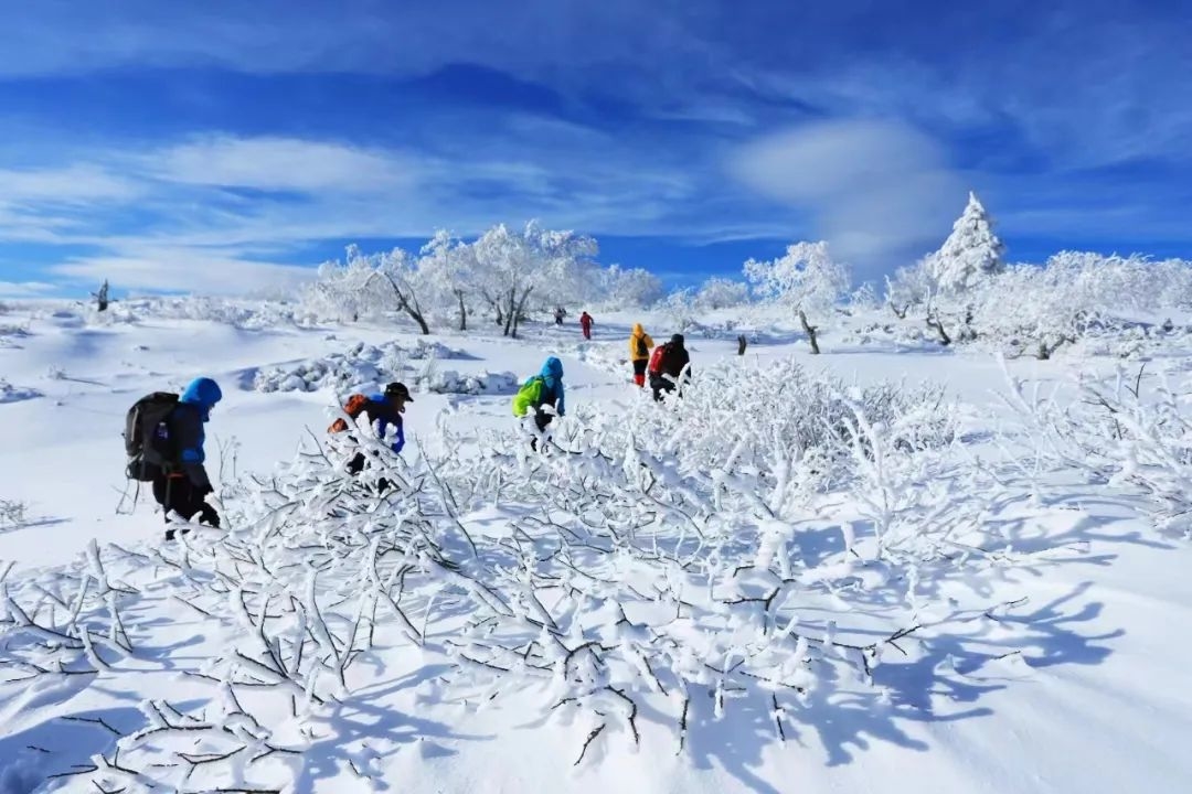 向云端！来敦化老白山开启一场踏雪之旅