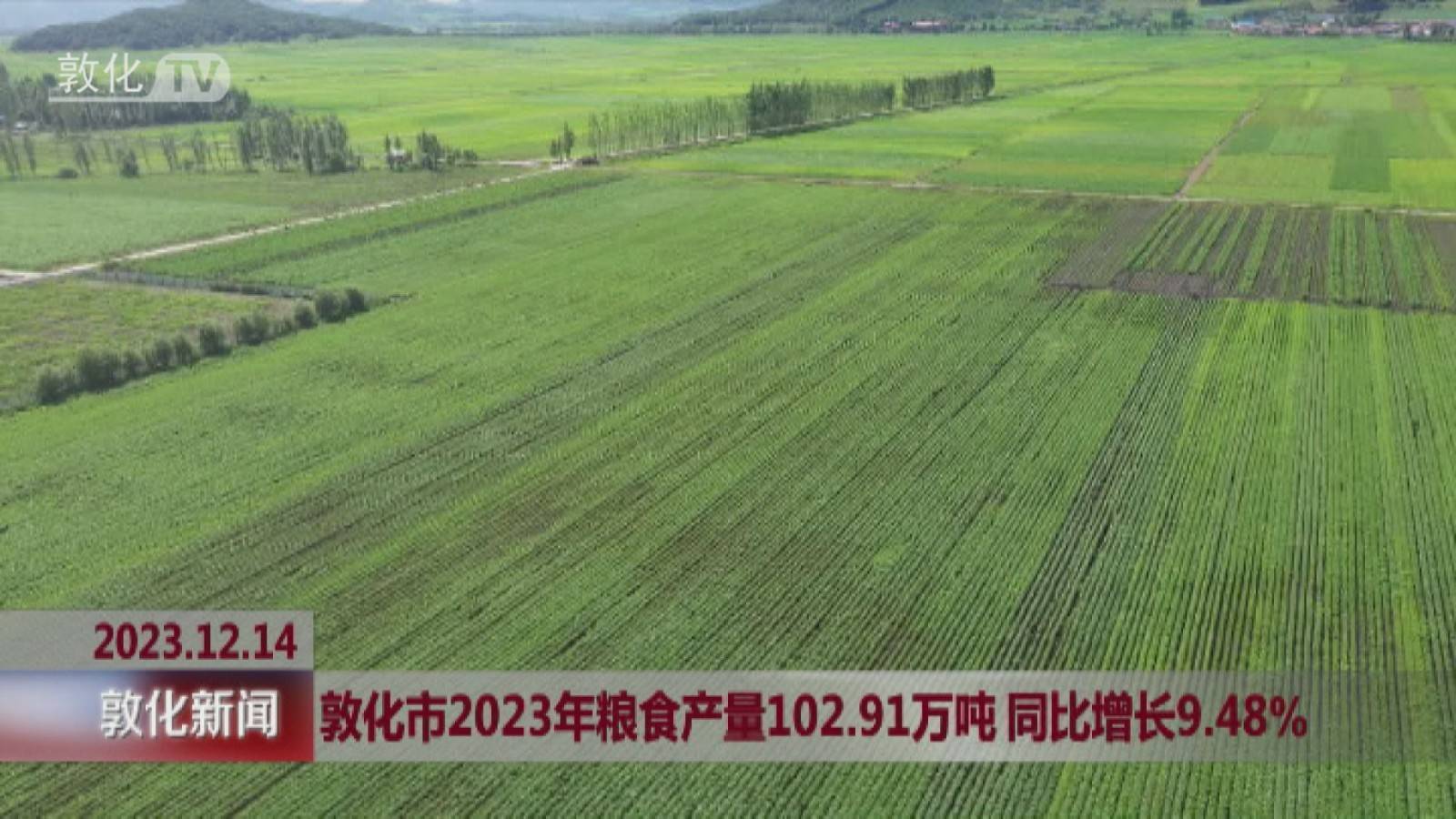 敦化市2023年粮食产量102.91万吨 同比增长9.48%