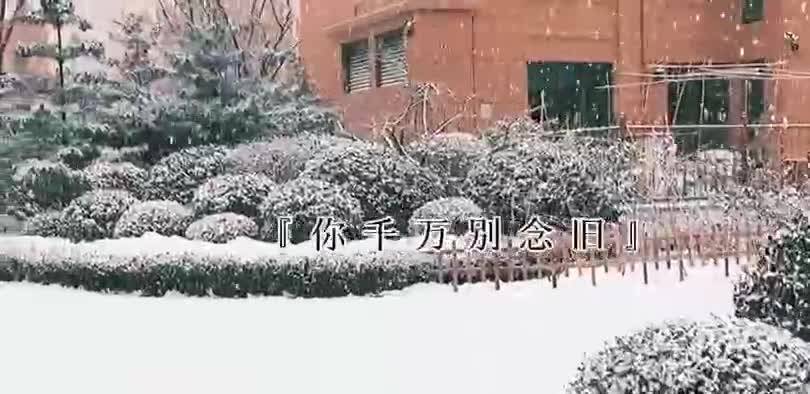 雪下的时候