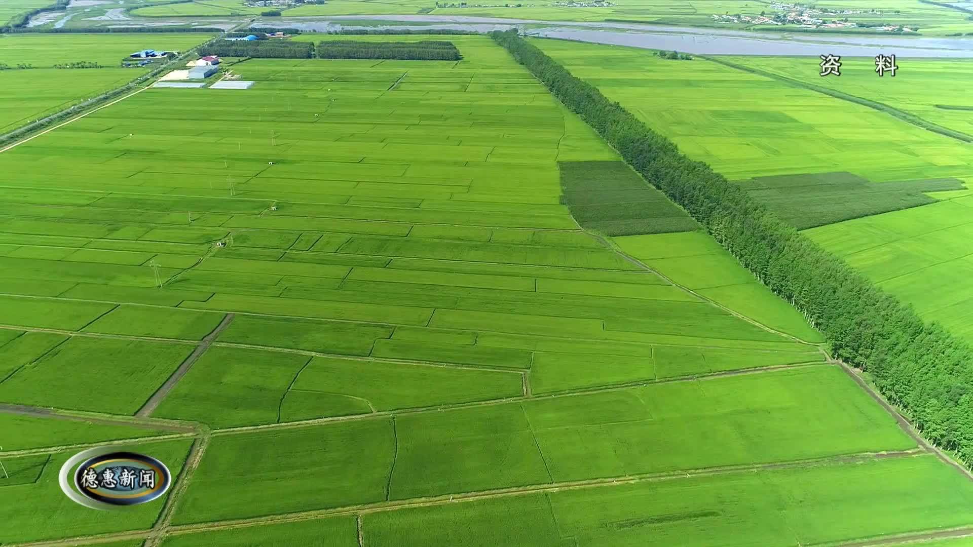 12月25日德惠新闻