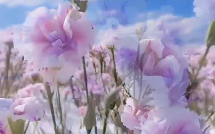 冰晶花