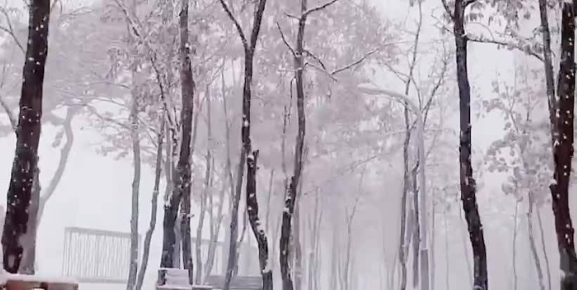 落雪的世界