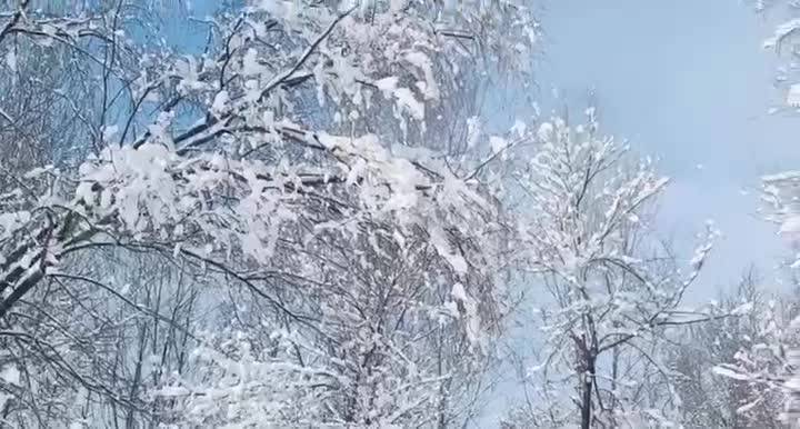 塞北的雪