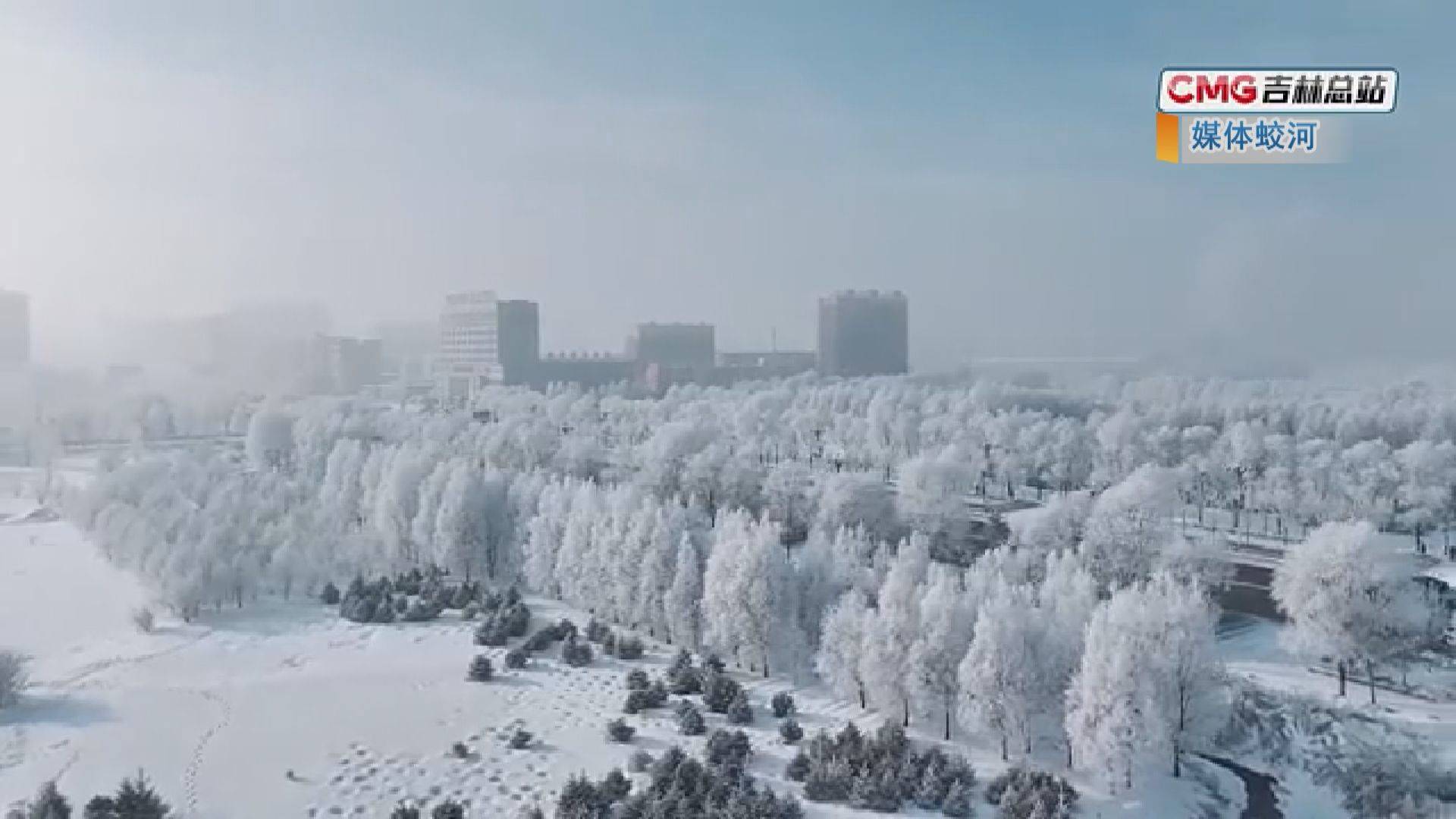 【媒体蛟河】央视新闻客户端播出蛟河市融媒体中心拍摄制作的我市城区迎来大范围雾凇景观的短视频