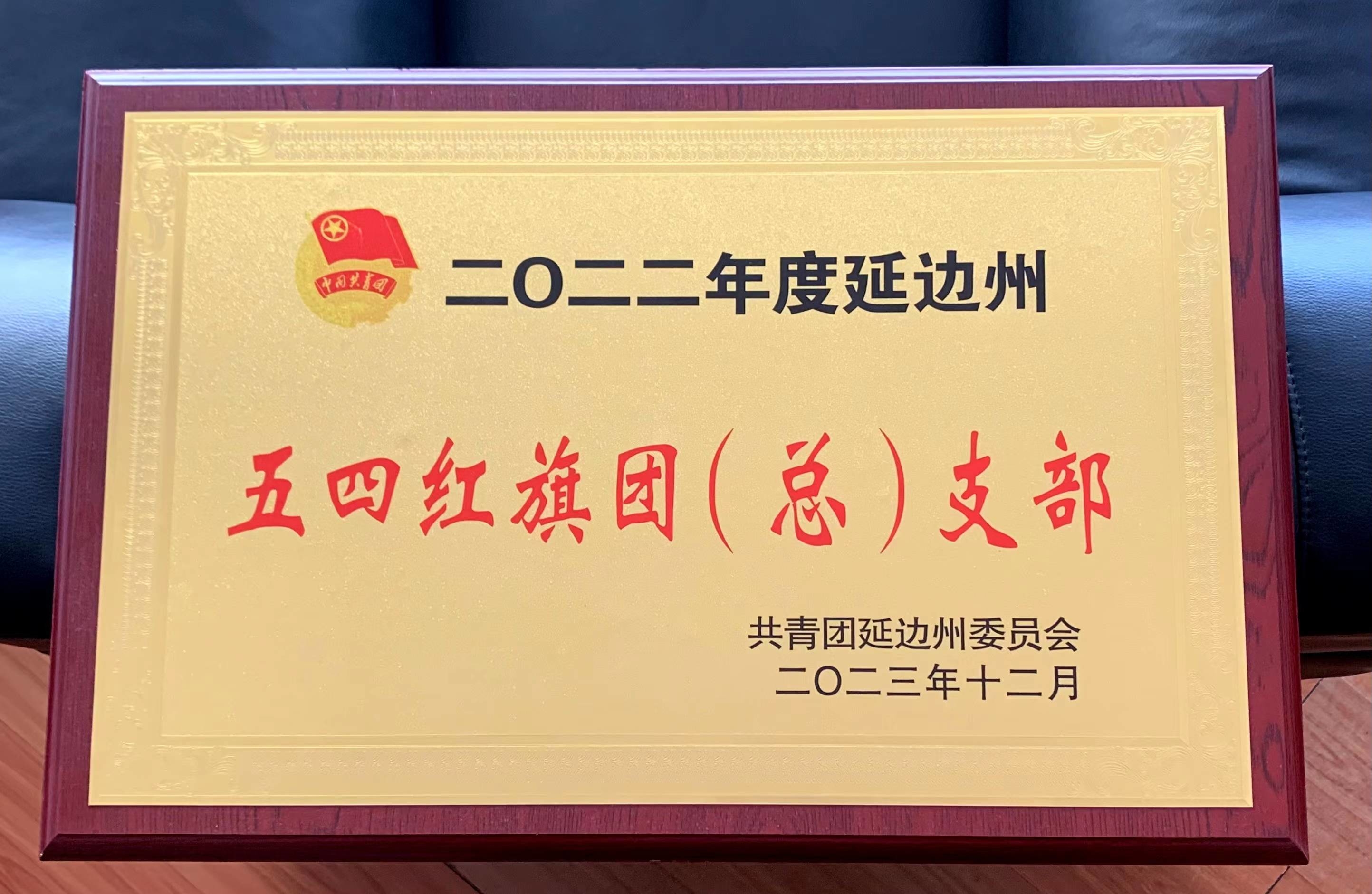 延边州生态环境局延吉市分局团支部获评“延边州五四红旗团支部”