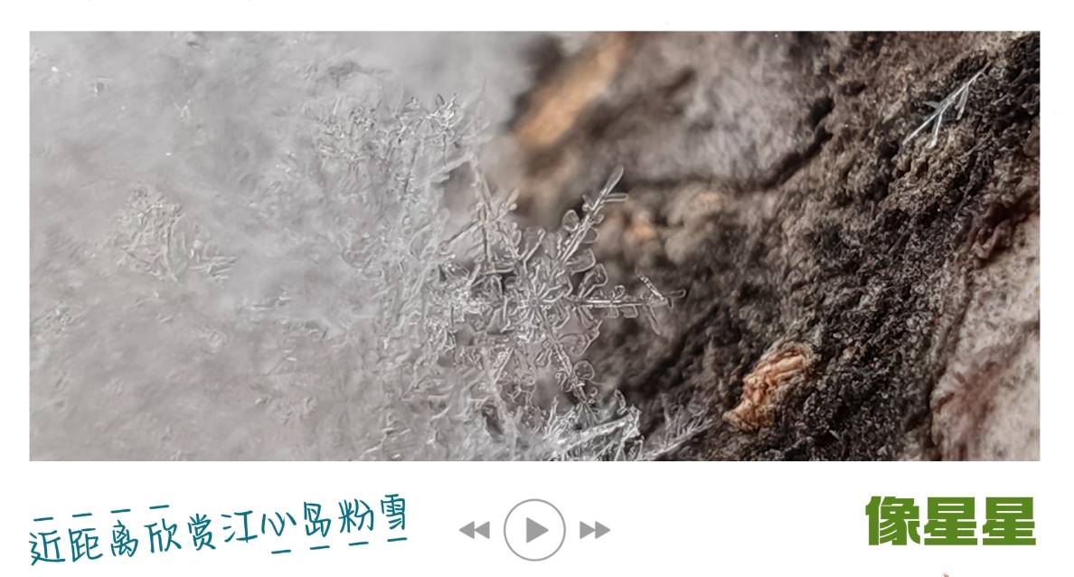 长白山之冬 · 遇见临江 | 近距离欣赏江心岛粉雪