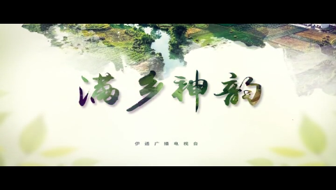 【满乡神韵】《勠力同心生态兴——伊通创建生态示范县工作纪事》
