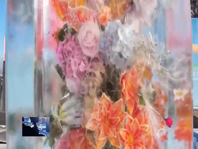 【大好“前”景 乐享冰雪】鱼琴花草齐上阵晶莹琥珀献祝福