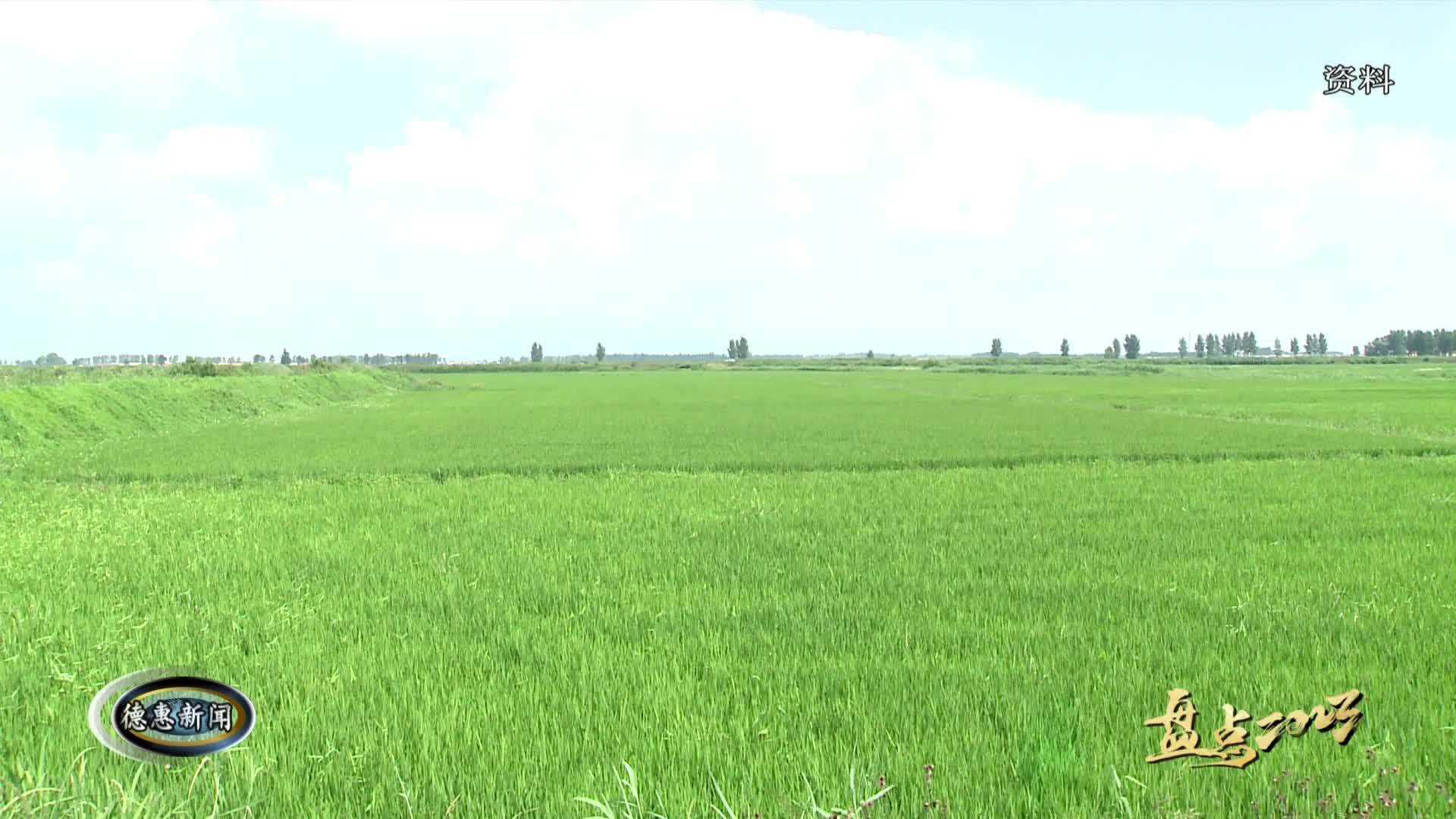 1月14日德惠新闻