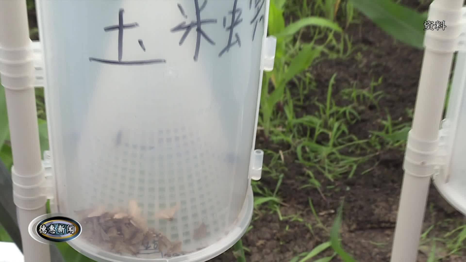 1月20日德惠新闻