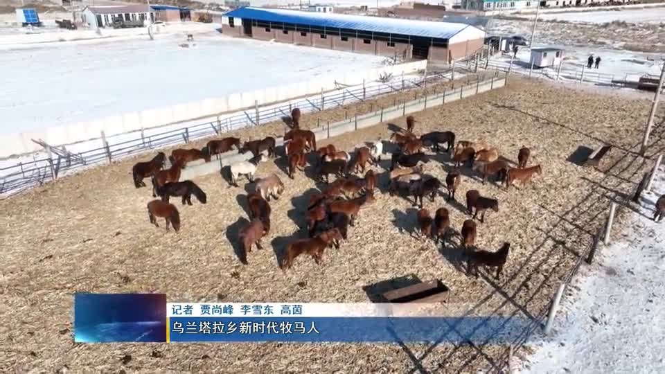 乌兰塔拉乡新时代牧马人