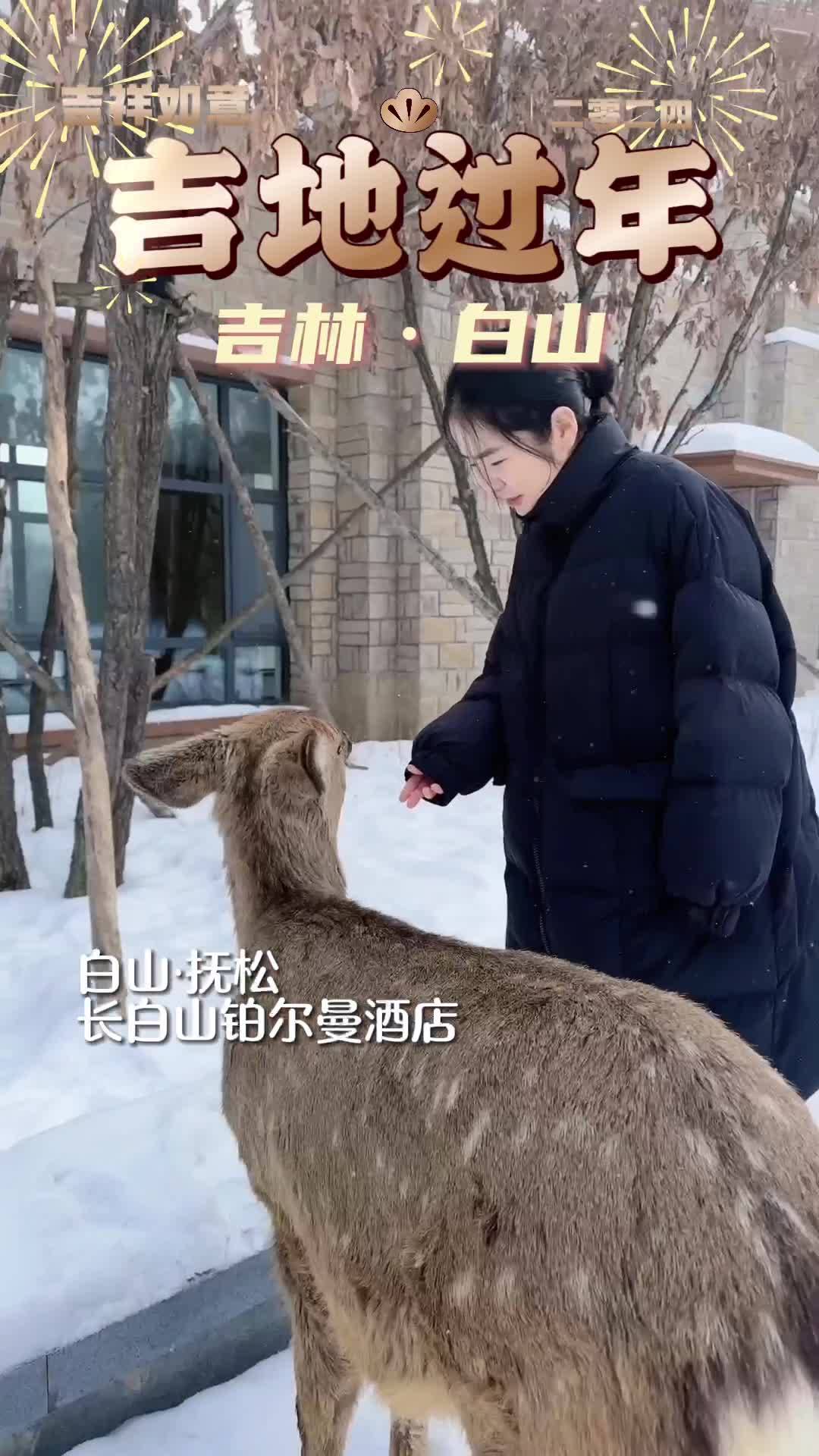 白山把梅花鹿都整出来陪qie了