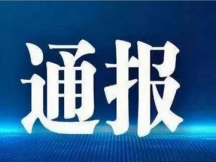 临江市营商环境智能管理平台2023年度投诉举报问题处理情况通报