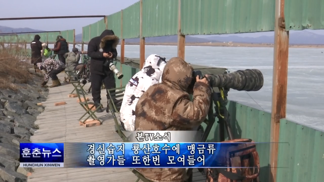 경신습지 룡산호수에 맹금류 촬영가들 또한번 모여들어