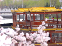 你好，东丰||天将化雨舒清景，萌动生机待绿田