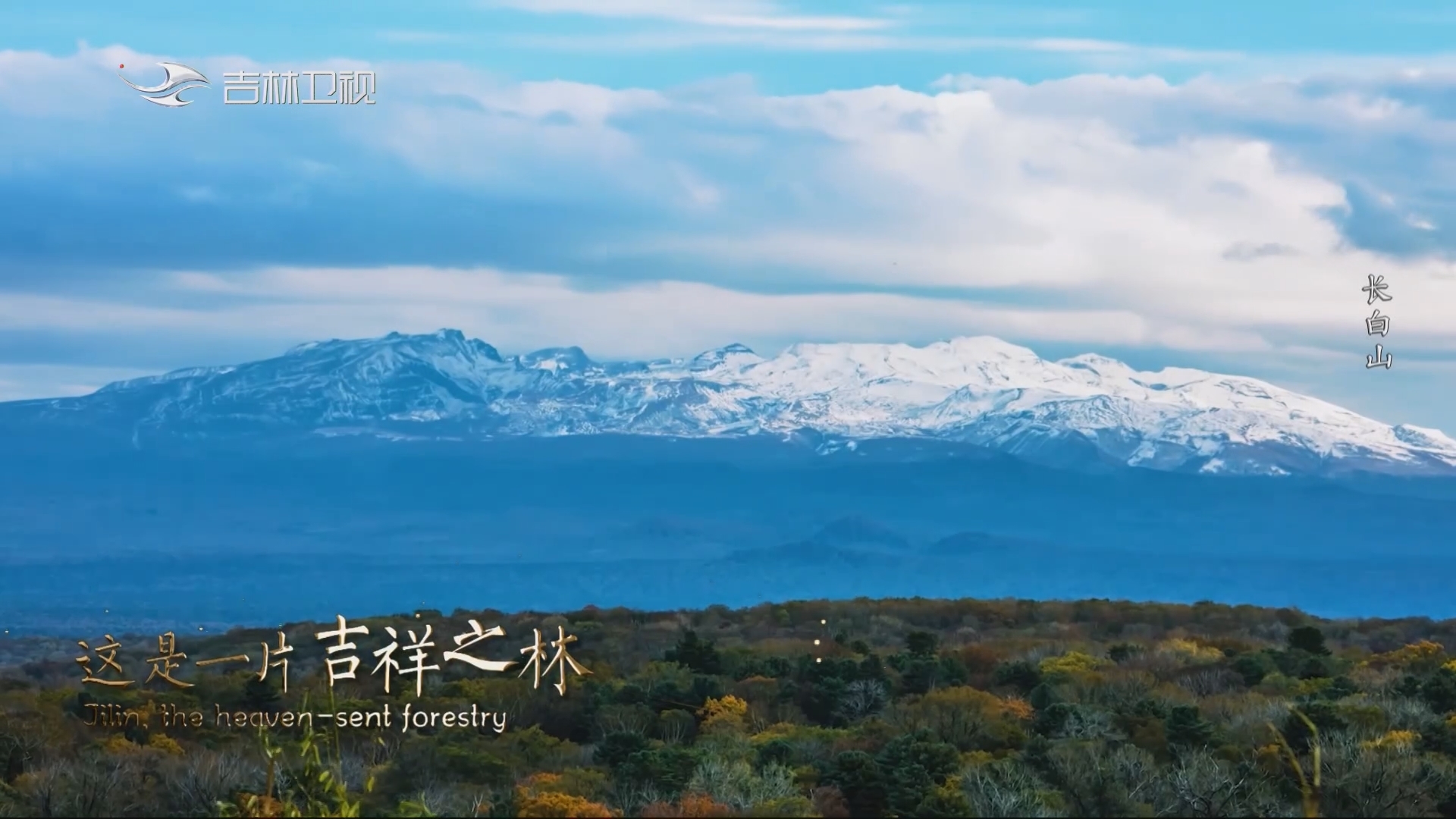 【吉地吉祥 吉祥之林】《吉祥组曲》之《吉祥之林》