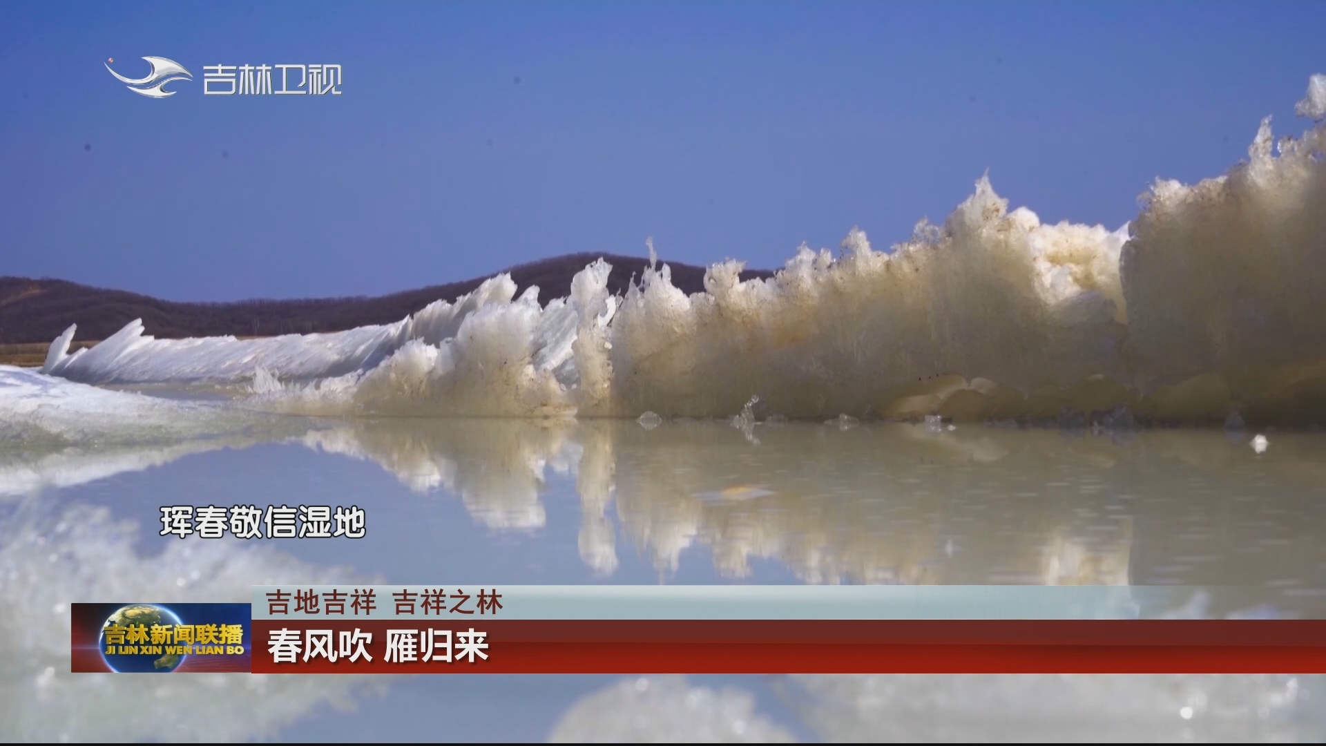 【吉地吉祥 吉祥之林】春风吹 雁归来