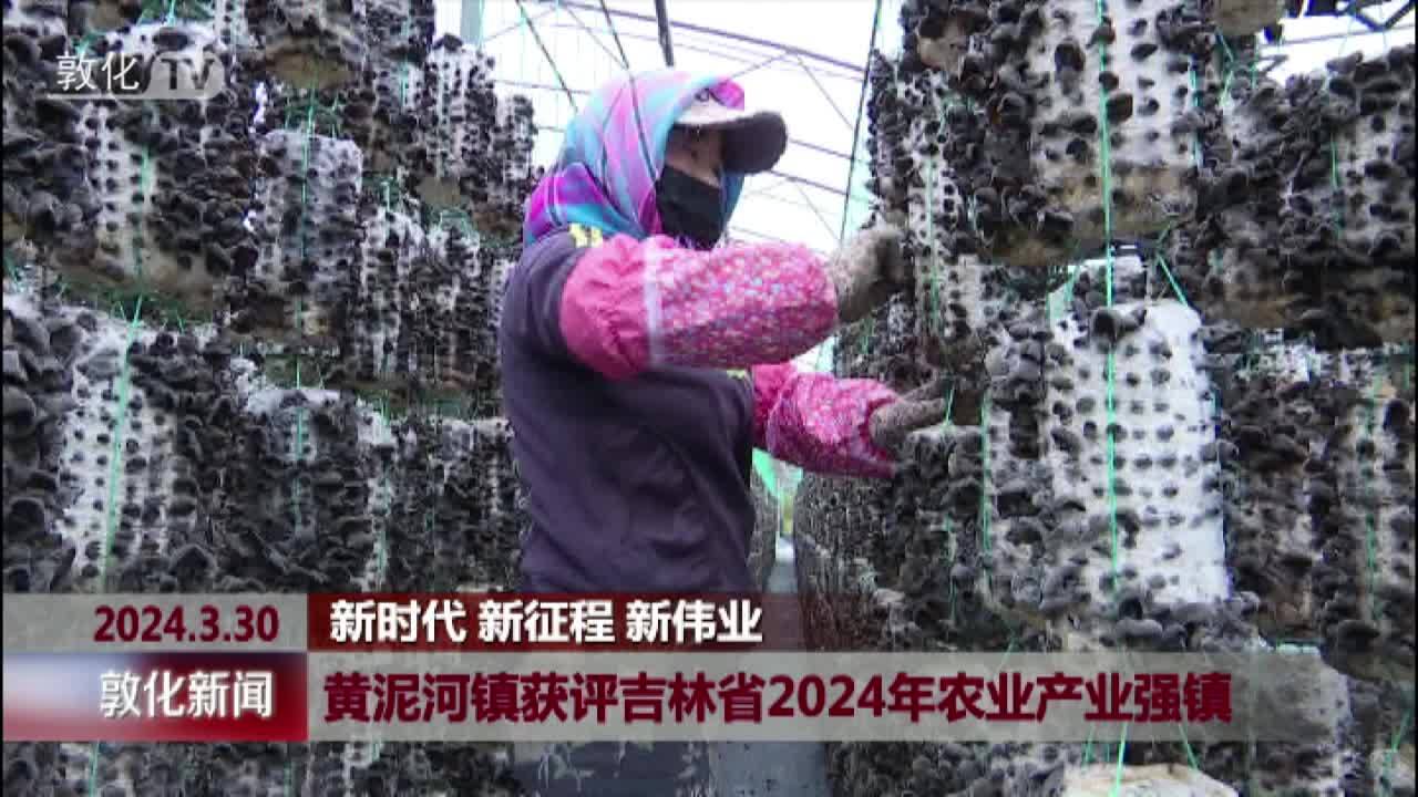 黄泥河镇获评吉林省2024年农业产业强镇