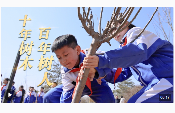 时政长镜头｜十年树木 百年树人