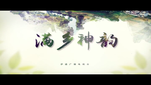 【满乡神韵】《勠力同心生态兴——伊通创建生态示范县工作纪事》