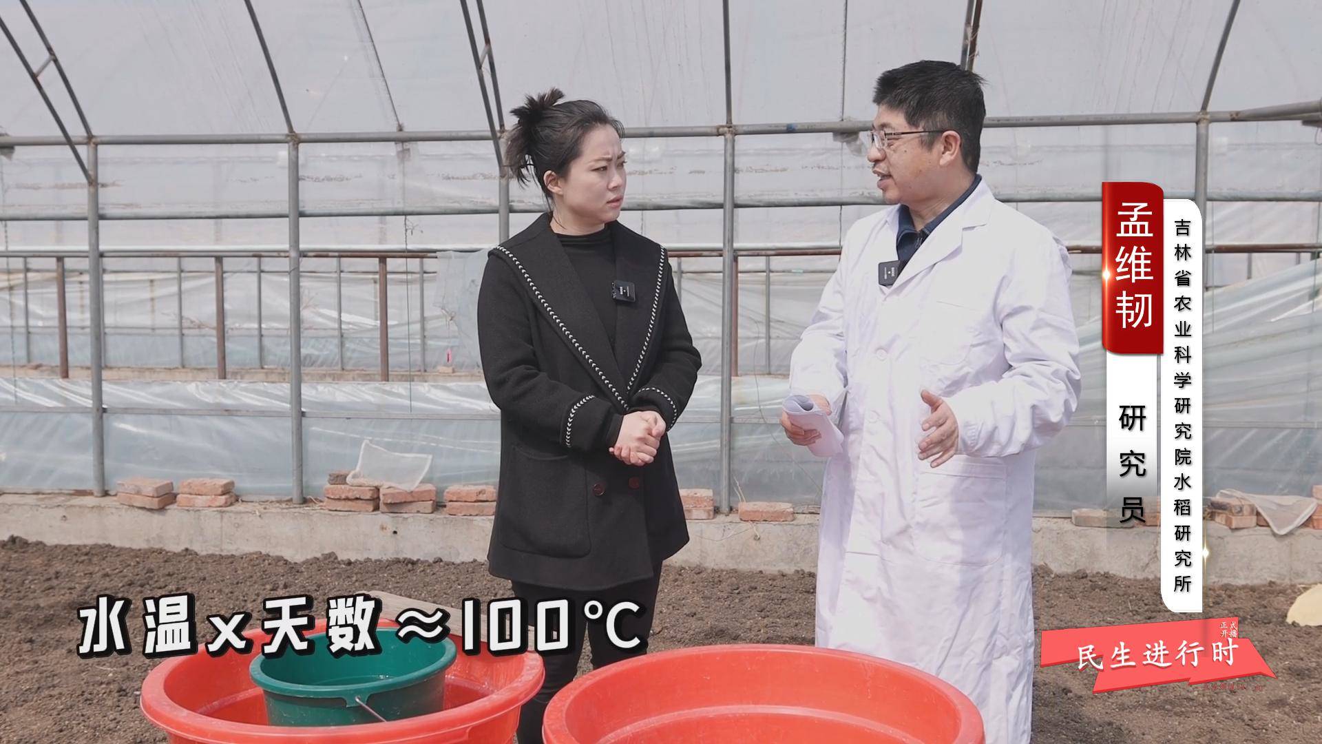 《岭城365》——〈民生进行时〉话春耕 施“粮”策（水稻篇）