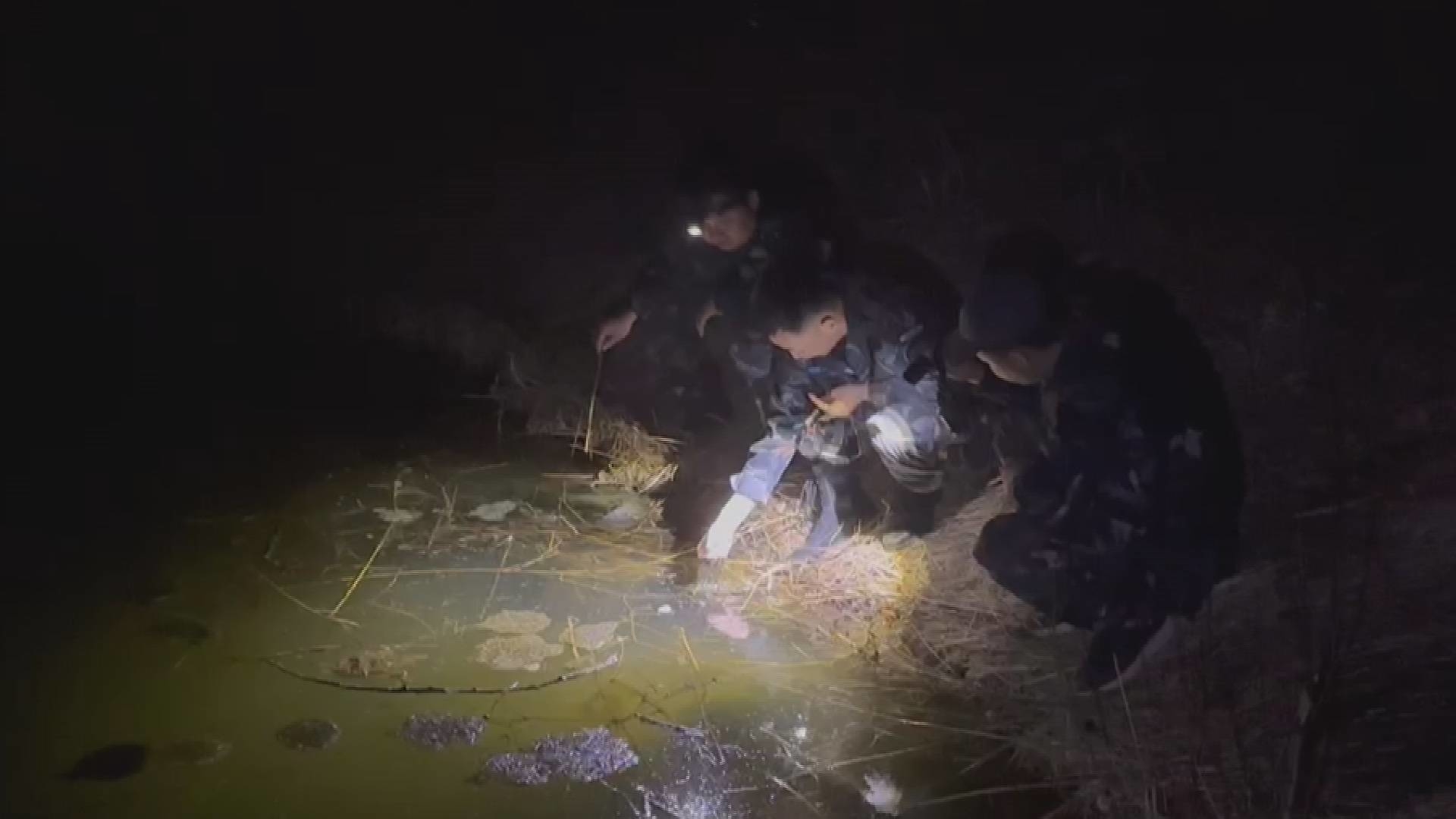 长白山护蛙行动：功在当代 利在千秋 共同维护生态平衡