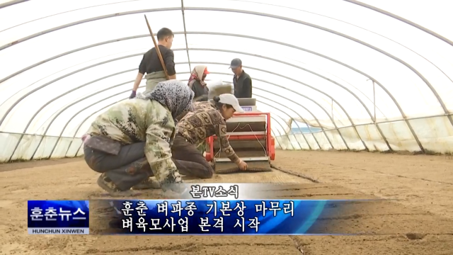 훈춘 벼파종 기본상 마무리 벼육모사업 본격 시작