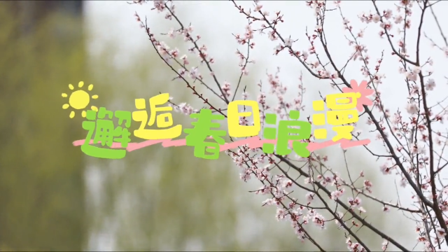 微视频||东丰：邂逅春日浪漫