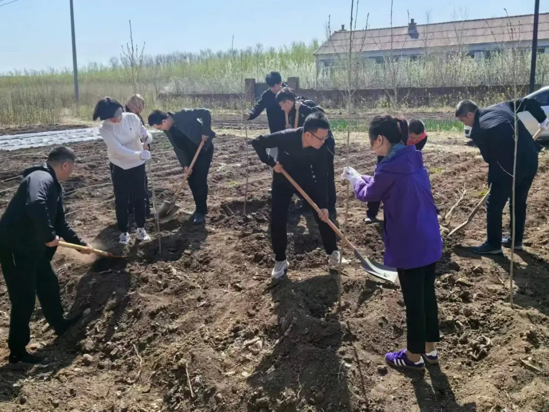 植树造林抚新绿 共绘生态宜居城——公主岭市范家屯镇开展义务植树活动