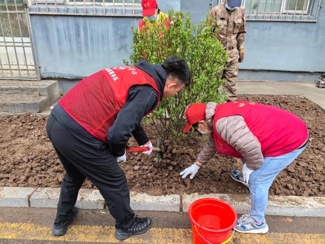 【延吉新时代文明实践】园新社区侨胞之家携手延边州侨联、延吉市侨联开展“绿美延吉·侨界在行动”志愿服务活动