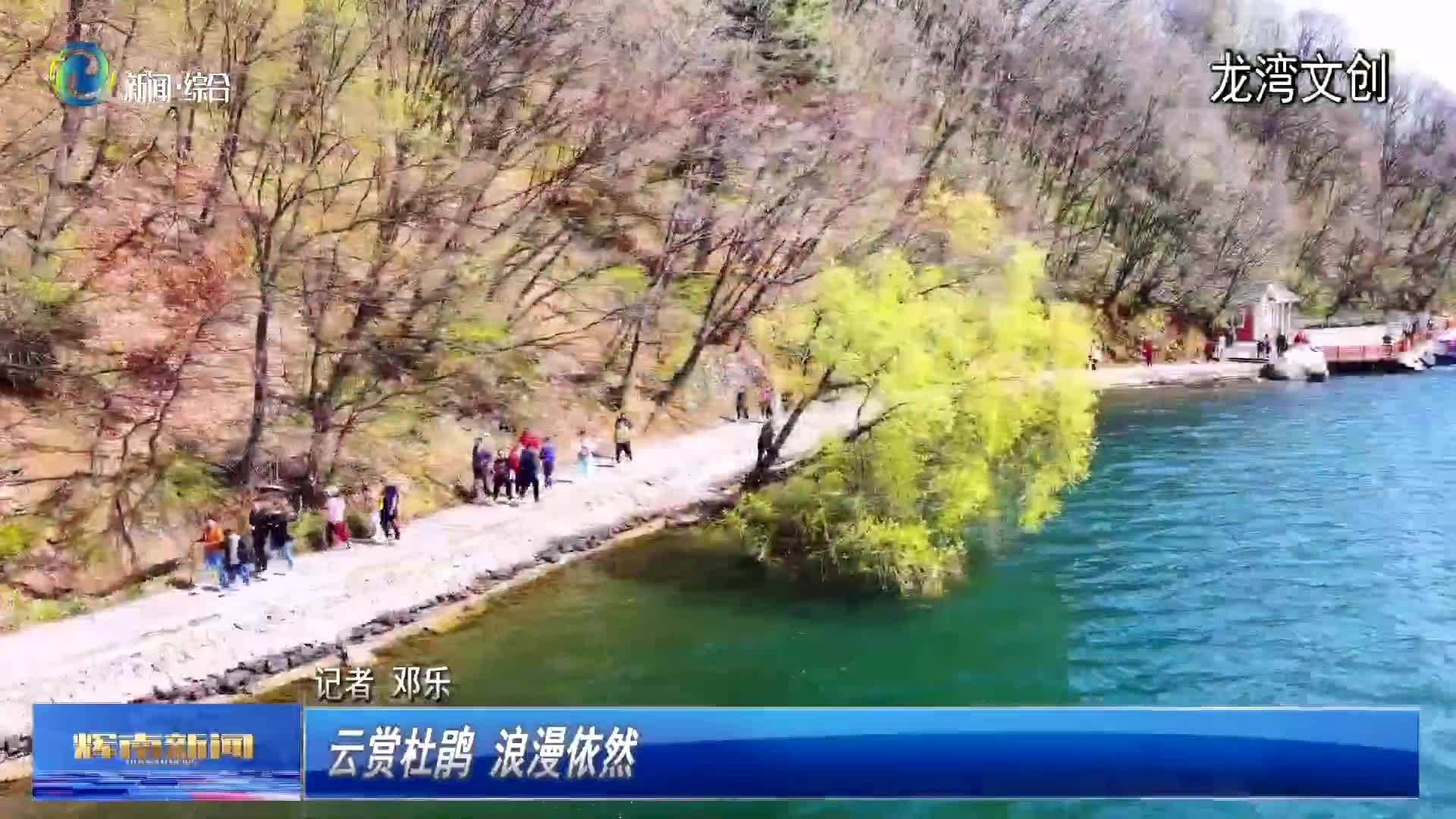 辉南县：云赏杜鹃 浪漫依然