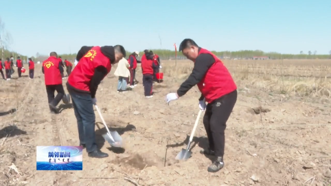 海勃日戈镇：干部群众植树造林 共建绿美家园